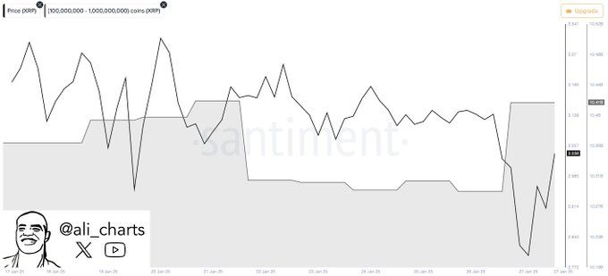 XRP